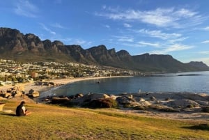 Table Mountain, Cabo da Boa Esperança e Pinguins, incluindo taxas do parque