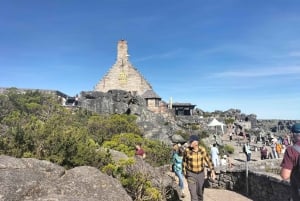 Montaña de la Mesa, Cabo de Buena Esperanza y Pingüinos incl. Tasas del Parque