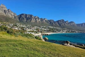 Table Mountain, Cape of Good Hope & Penguins Shared Tour