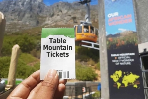 Столовая гора, совместный тур по мысу Доброй Надежды и пингвинам