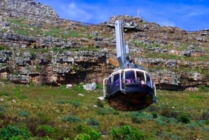 Tafelberg, Kapspitze und Pinguine Gruppentour