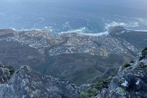 Tafelberg, Kapspitze und Pinguine Gruppentour