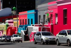 Tafelberg, Kapspitze und Pinguine Gruppentour