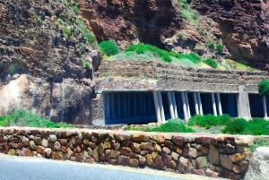 Tafelberg, Kapspitze und Pinguine Gruppentour