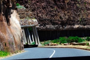 Tafelberg, Kapspitze und Pinguine Gruppentour