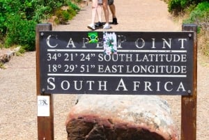 Tafelberg, Kapspitze und Pinguine Gruppentour