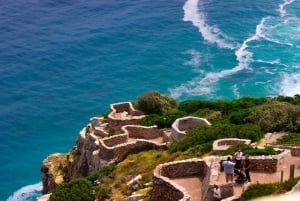 Tafelberg, Kapspitze und Pinguine Gruppentour