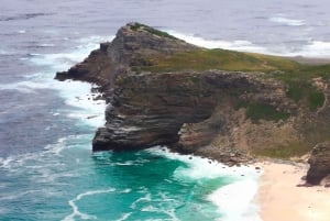 Tafelberg, Kapspitze und Pinguine Gruppentour