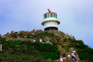 Tafelberg, Kapspitze und Pinguine Gruppentour