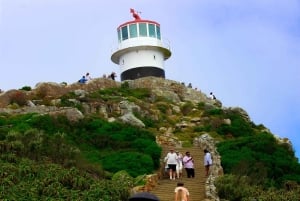 Tafelberg, Kapspitze und Pinguine Gruppentour