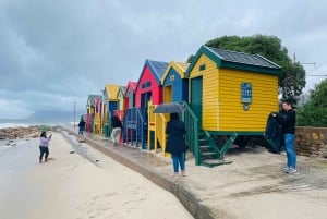 Tafelberg, Kapspitze und Pinguine Gruppentour