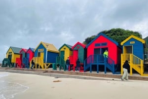 Tafelberg, Kapspitze und Pinguine Gruppentour