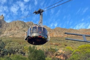 Table Mountain, Cape Point, and Penguins Group Tour
