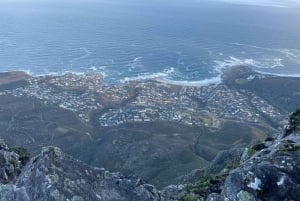 Table Mountain, Cape Point, and Penguins Group Tour