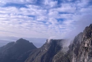Table Mountain, Cape Point, and Penguins Group Tour
