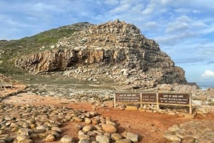 Table Mountain, Cape Point, and Penguins Group Tour