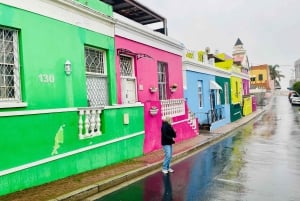 Table Mountain, Cape Point, and Penguins Group Tour