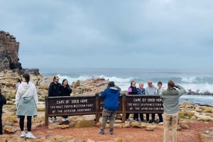 Table Mountain, Cape Point, and Penguins Group Tour