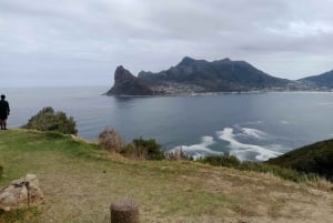 Table Mountain, Cape Point, and Penguins Shairing Group Tour