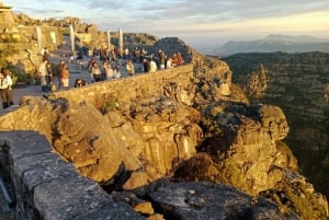 Table Mountain, Cape Point, and Penguins Shairing Group Tour