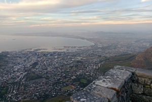 Table Mountain, Cape Point, and Penguins Shairing Group Tour