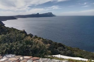 Table Mountain, Cape Point, and Penguins Shairing Group Tour