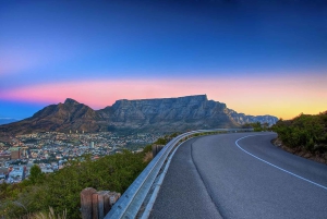 Góra Stołowa, Cape Point i Plaża Pingwinów WSTĘP WLICZONY