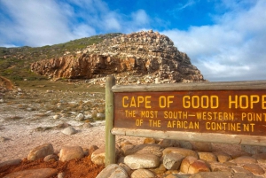 Góra Stołowa, Cape Point i Plaża Pingwinów WSTĘP WLICZONY