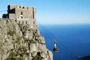 Góra Stołowa, Cape Point i Plaża Pingwinów WSTĘP WLICZONY