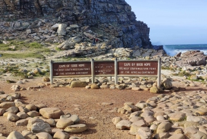 Table Mountain, Cape Point, Penguins Full Day Private Tour