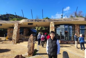 Table Mountain, Cape Point, Penguins Full Day Private Tour