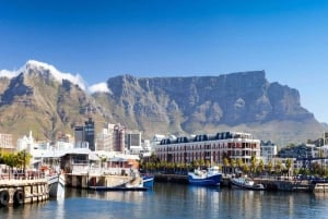 Cape Town Private Tour: Cape Point, Penguin & Table Mountain