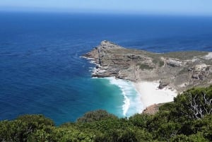 Table Mountain, Cape Point & Penguins tour with Park fees