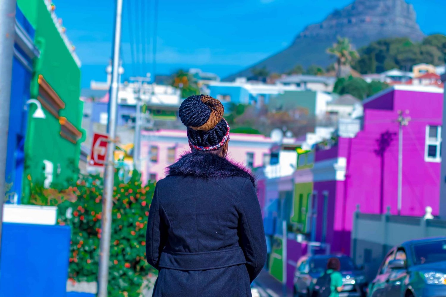 Taffelbjerget & Cape Town City Halvdagstur med guide