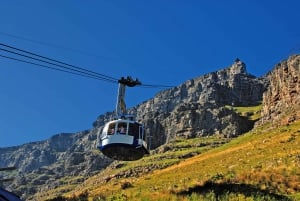 Excursão guiada de meio dia à Table Mountain e à Cidade do Cabo