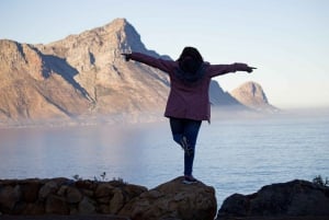 Excursão guiada de meio dia à Table Mountain e à Cidade do Cabo