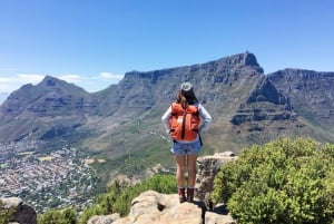 Taffelberget og Cape Town City halvdagstur med guide