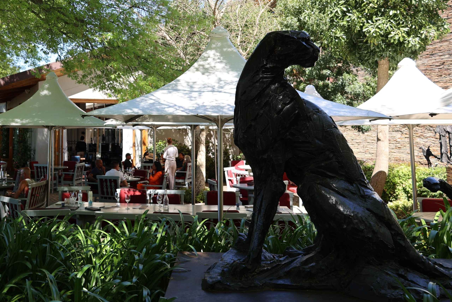 テーブルマウンテンとコンスタンシア ワイン エステートのプライベート コンボ ツアー