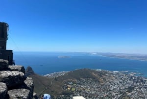 Table Mountain & Constantia vinsmagning Heldagstur