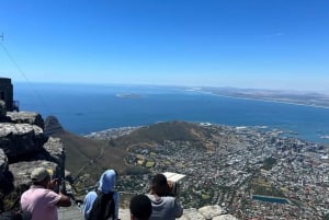 Excursão de 1 dia para degustação de vinhos em Table Mountain e Constantia