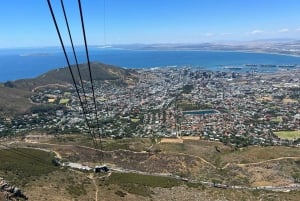 Excursão de 1 dia para degustação de vinhos em Table Mountain e Constantia