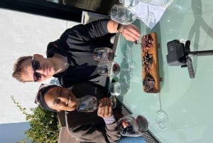 Table Mountain & Constantia Wine tasting Small Group tour