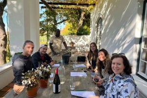 Table Mountain & Constantia Wine tasting Small Group tour