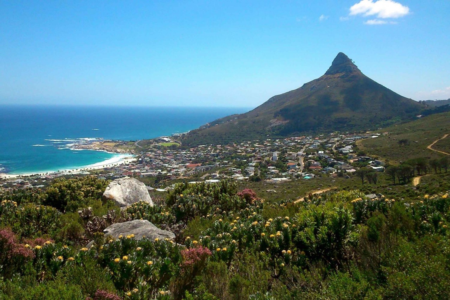 Table Mountain: dolce meandro guidato per tutta la famiglia