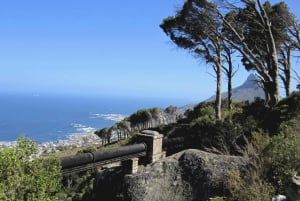 Table Mountain: suave passeio guiado para toda a família