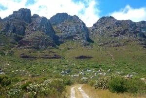Table Mountain: łagodny meander z przewodnikiem dla całej rodziny
