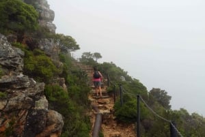 Table Mountain: łagodny meander z przewodnikiem dla całej rodziny