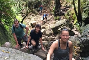 Table Mountain Hike with Local Tour Guide