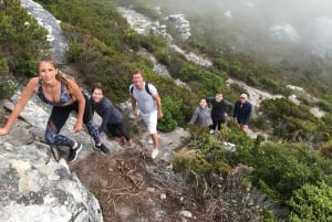 Tafelberg-Wanderung mit lokalem Reiseleiter