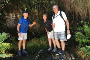 Vandretur på Taffelbjerget med lokal guide